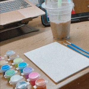 Meet your Posher, Ana